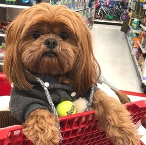 Meet your Posher, Edward